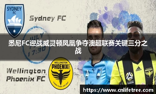 悉尼FC迎战威灵顿凤凰争夺澳超联赛关键三分之战